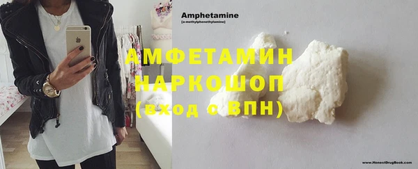 стаф Аркадак