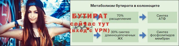 стаф Аркадак