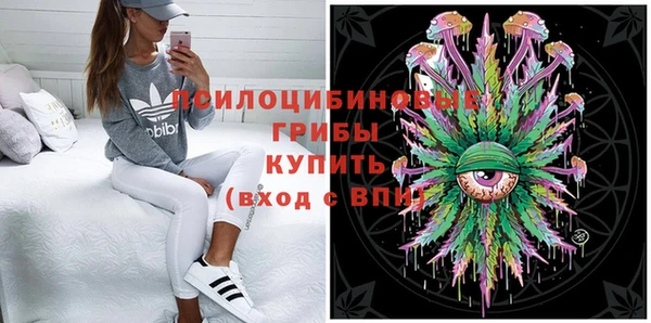 шишки Алексеевка
