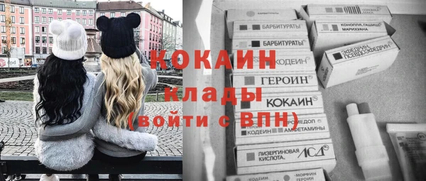 стаф Аркадак