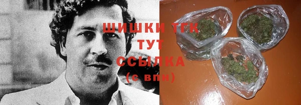 стаф Аркадак
