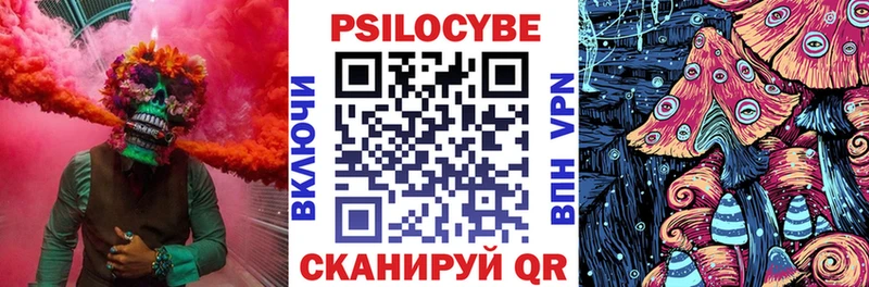 Галлюциногенные грибы MAGIC MUSHROOMS  Тара 